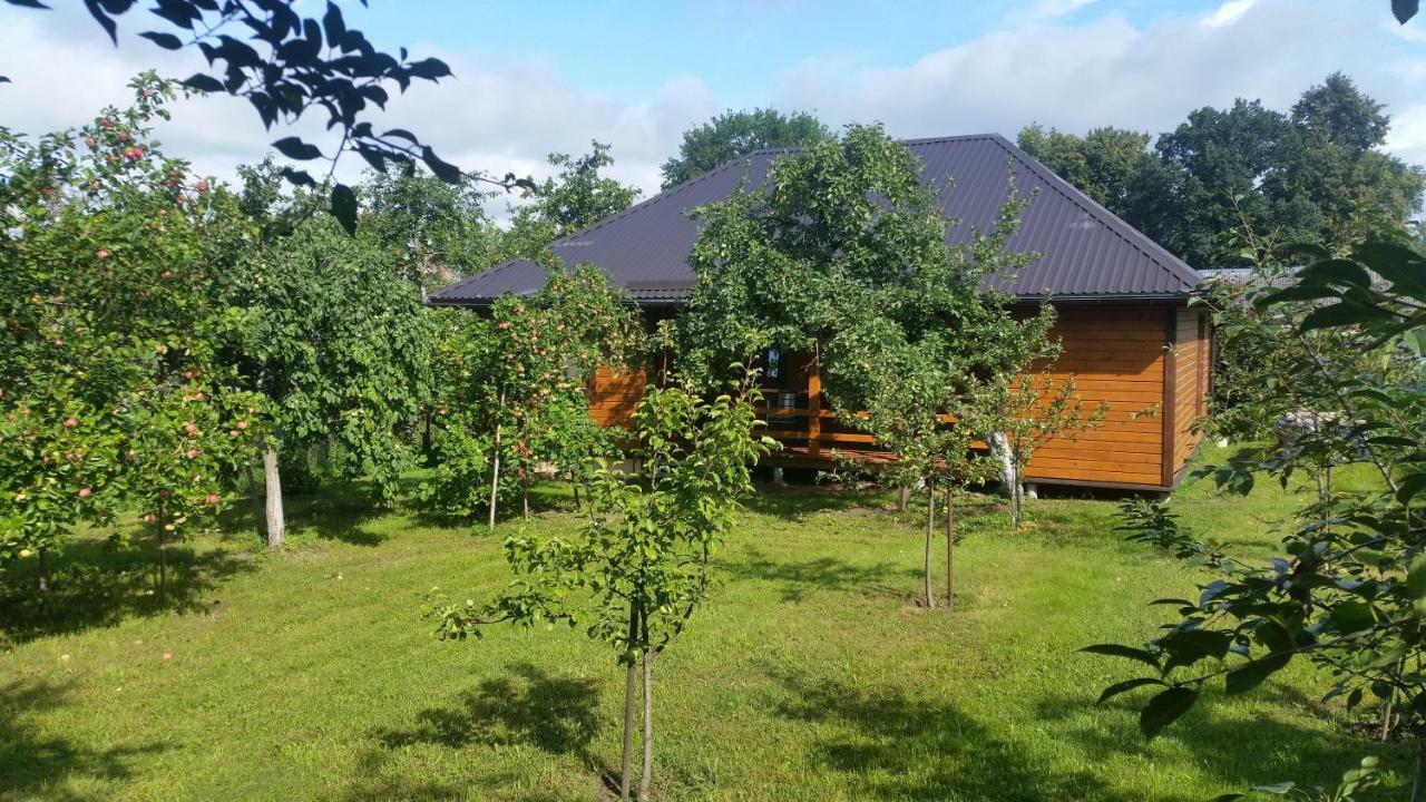 Villa Vasarnamis Zarasuose Zarasai Esterno foto
