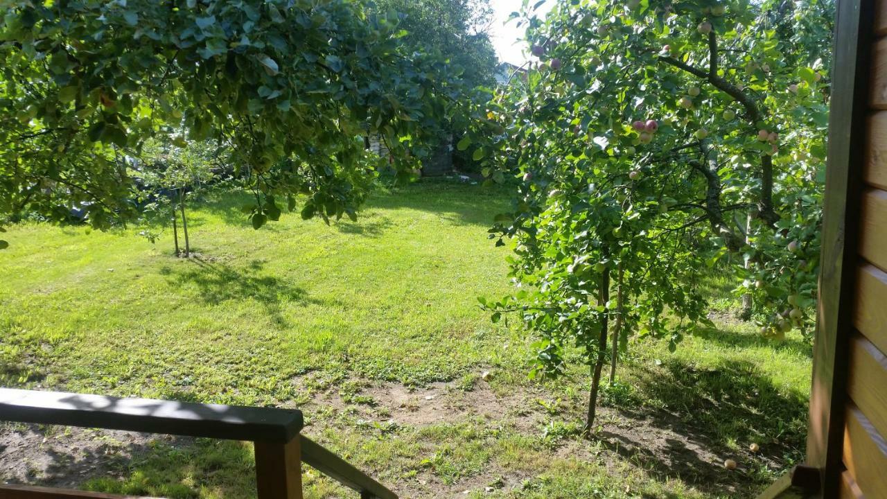 Villa Vasarnamis Zarasuose Zarasai Esterno foto
