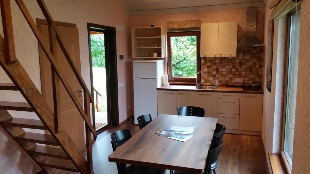 Villa Vasarnamis Zarasuose Zarasai Esterno foto